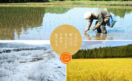 令和7年産新米 中魚沼産「新之助(しんのすけ)」10kg 新潟県 津南町 有限会社イタバ