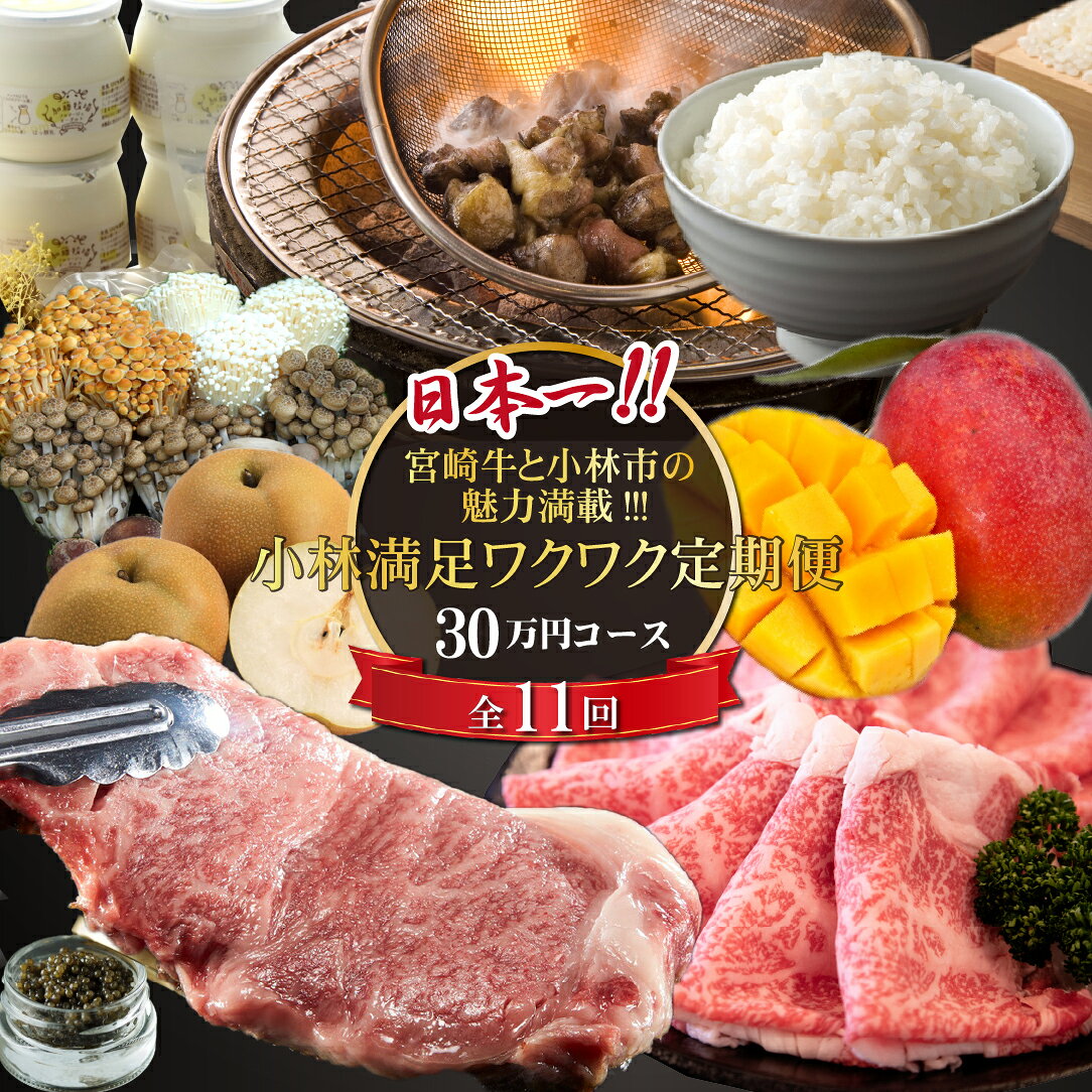 【ふるさと納税】【定期便・全11回】日本一宮崎牛と小林市の魅力満載!!! 小林満足ワクワク定期便 30万円コース 牛肉 豚肉 鶏肉 果物 キャビア マンゴー フルーツ 限定 定期便 国産牛 牛 肉 お肉 ふるさと 人気 おすすめ お裾分け プレゼント 精肉 宮崎県 小林市 送料無料