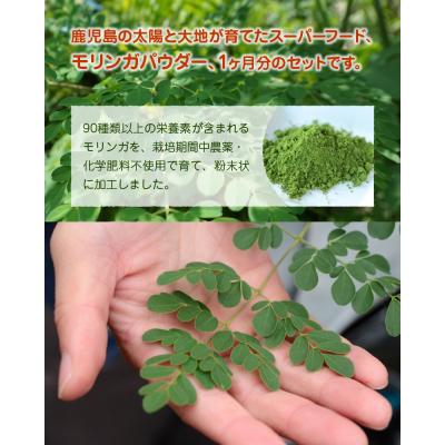 ふるさと納税 南九州市 鹿児島TELLASファームのモリンガパウダー1か月分 |  | 02