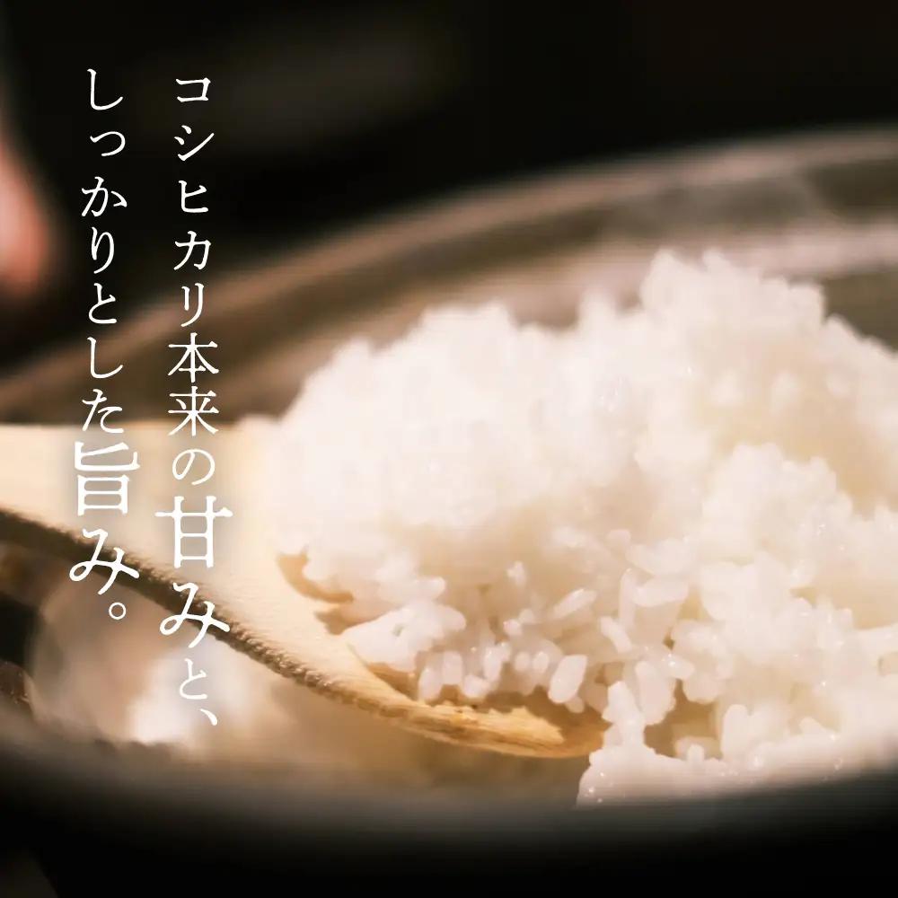 令和8年産 米 石神米 コシヒカリ10kg / 米 コシヒカリ