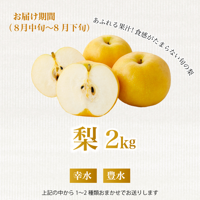 《2026年度先行受付》【フルーツ定期便全5回】 さくらんぼ 梨 ぶどう りんご いちご 豪華フルーツ 詰め合わせ 採れたて 新鮮 産地直送 広島県 三原市 059021