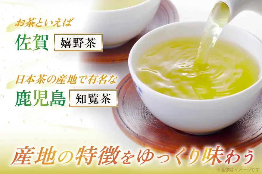 緑茶 飲み比べ 九州 一番摘み 銘茶 5種 各2本 お茶