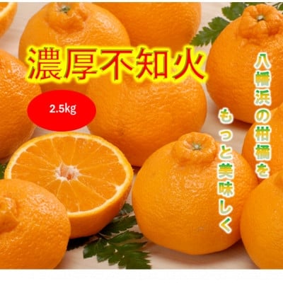 
                  みさき果樹園で栽培・収穫・段々畑育ちの濃厚不知火2.5kg＜A21-64＞【1706100】
                