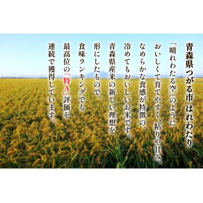 ふるさと納税 つがる市 つがる市産「はれわたり」5kg 2025年産 [0941] |  | 01
