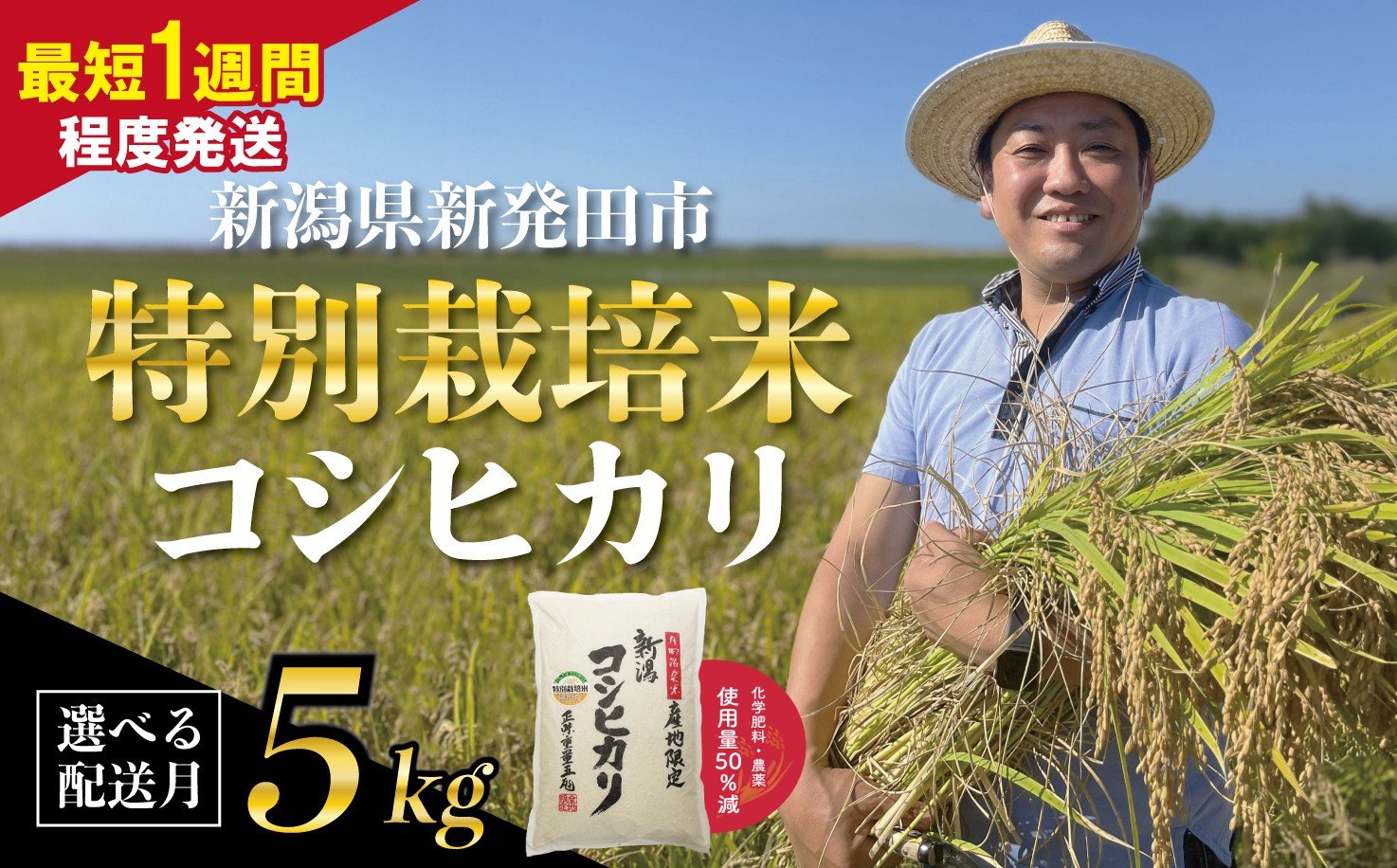 
            【最短1週間発送!！】 新潟県産 特別栽培米 コシヒカリ 5kg 選べる 配送月 令和7年産 こしひかり 特栽米 米 新米 月岡 温泉 お米 こめ ご飯 ごはん おいしい 新潟米 新潟 新潟県 米 新発田産 新潟産 朝食 昼食 夕飯 炊きたて 精米 watasho004P
          