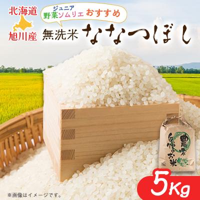 ふるさと納税 旭川市 令和7年産無洗米北海道産特Aななつぼし5kg こめ お米  精米 白米