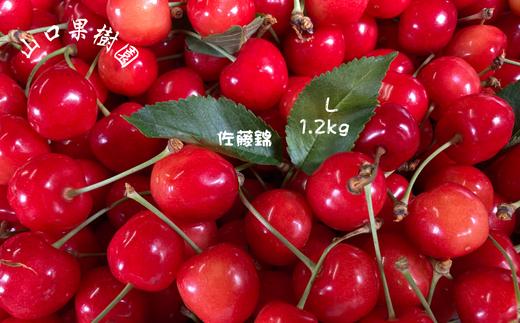 
                  8-020-007　山口さんちのさくらんぼ 佐藤錦（L）1.2kg 
                