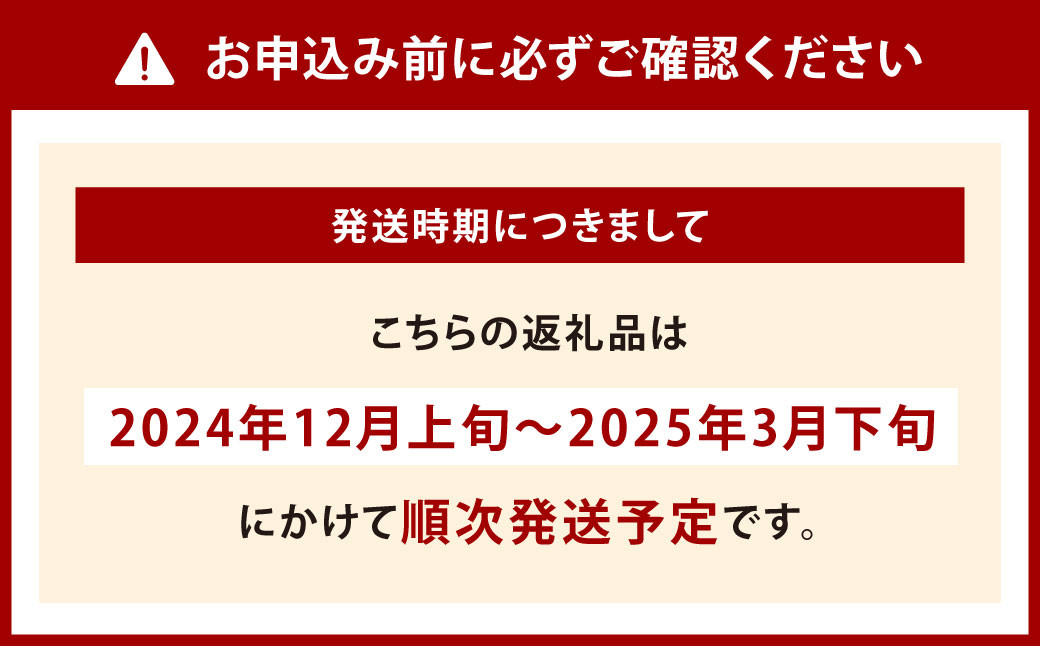 神田野菜の美味しい人参 1kg （Lサイズ 8～10本）