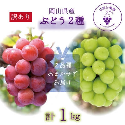 
            岡山　花笑み農園の『訳あり2種MIX』ブドウ1kg　W2M-1＜9月中旬～順次発送＞【1628310】
          