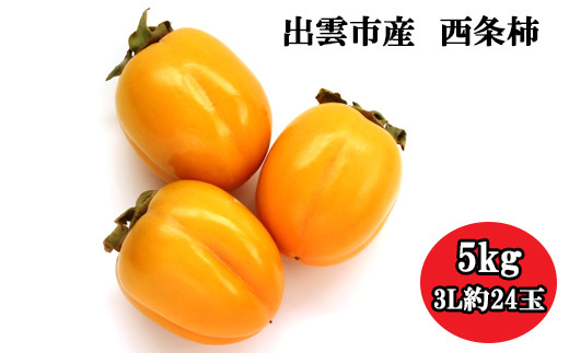 
出雲市産西条柿 ５ｋｇ(３L 約２４玉)【1_8-006】
