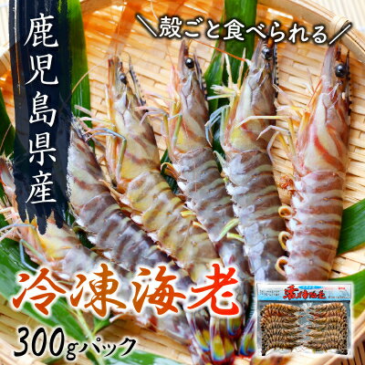 【ふるさと納税】殻ごと食べられる冷凍車海老　300gパック【配送不可地域：離島】【1185826】