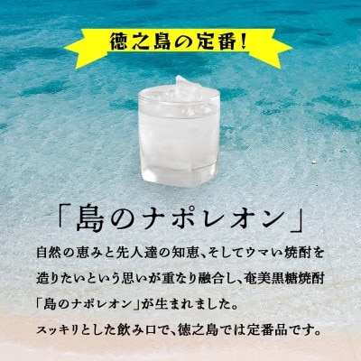 【毎月定期便】奄美黒糖焼酎 島のナポレオン 900ml 紙パック 12本セット全3回