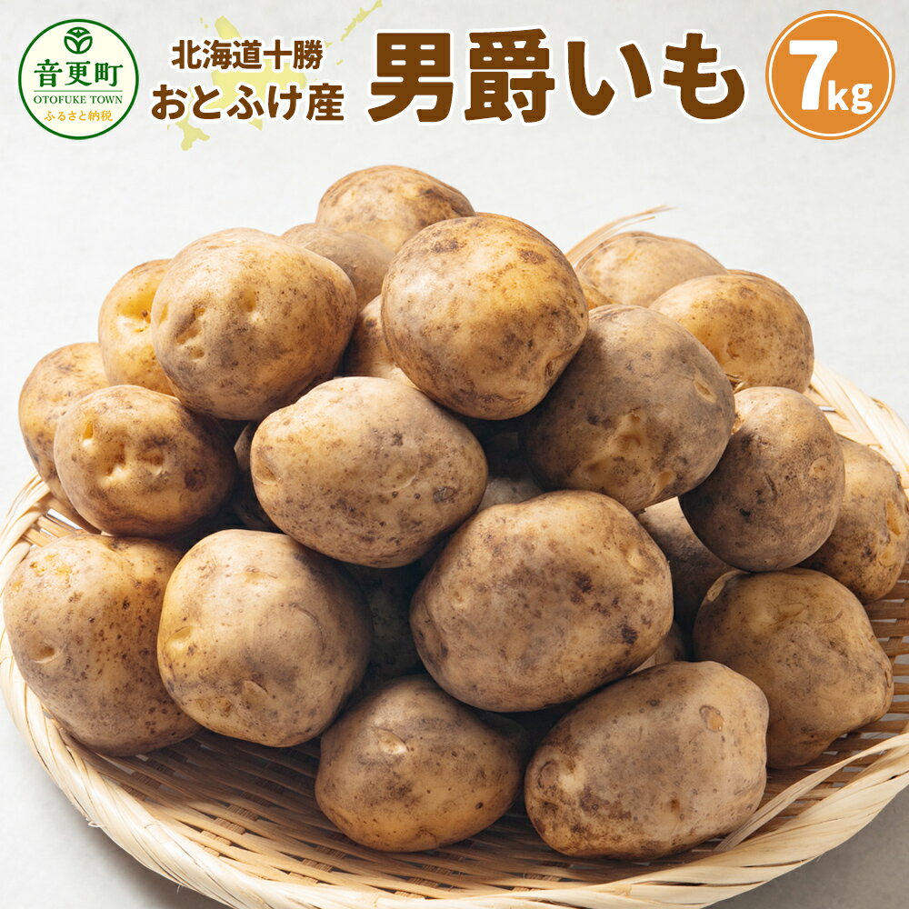 【ふるさと納税】【先行受付】 おとふけ産男爵いも 7kg 【2025年10月上旬頃より順次発送】男爵イモ じゃがいも ジャガイモ いも 芋 イモ お芋 根菜 やさい 野菜 十勝 北海道 音更町 送料無料