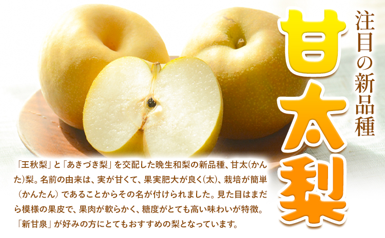 【先行予約】プレミアム 甘太梨 約5kg 5-16玉 高間商店《9月下旬-11月上旬頃出荷》 鳥取県 八頭町 梨 なし ナシ 果物 フルーツ 先行予約 ふるさと納税 送料無料 甘い 果実 果汁 デザー