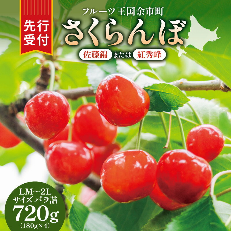 【ふるさと納税】【先行予約：2026年6月下旬頃より発送】令和8年産 さくらんぼ【LM～2Lバラ詰め】180g×4【余市ふるさと納税推進センター】 送料無料 北海道 余市町