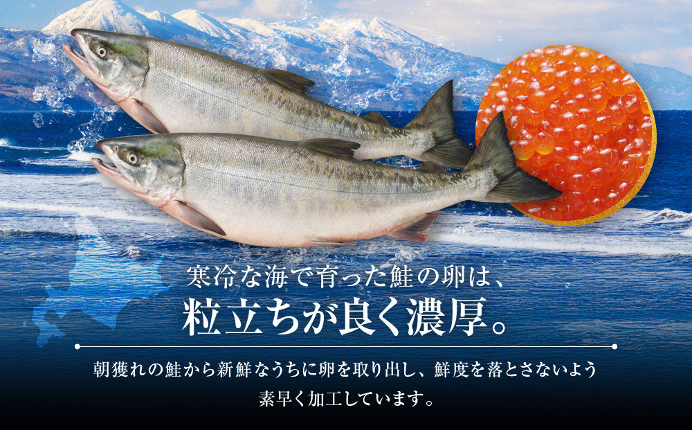 【26年10月発送先行予約】無添加 職人仕込み イクラ 200g (100g×2) 【いくら 醤油漬け いくら醤油漬 小分け 無添加 冷凍 魚卵 お取り寄せ 人気 鮭いくら 旭川市 北海道ふるさと納税