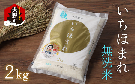 【福井のブランド米】【令和5年産】【特A獲得】いちほまれ 無洗米 2kg × 1袋