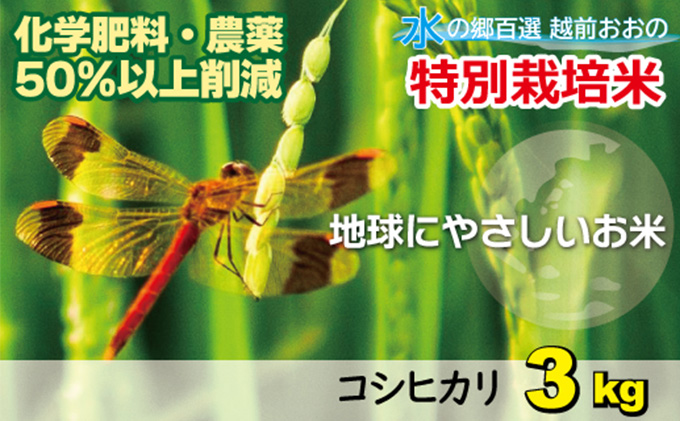 【令和5年産】こしひかり（福井県大野市産） 福井県特別栽培米 3kg 【白米】[A-003003]