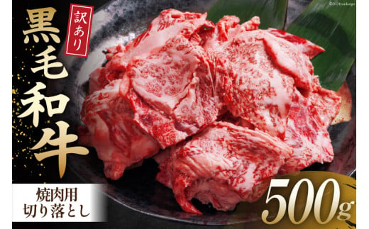 牛肉 訳あり 宮崎県産黒毛和牛 焼き肉用切り落とし 500g[ウィズ・クリエイティブ 宮崎県 日向市 452060764] 冷凍 数量限定 不揃い 牛 和牛 黒毛和牛 切り落とし