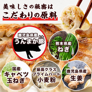 s602-B 【隔月・定期便3回】タレ付き！鹿児島うんまか豚生餃子(計108個・12個入り×9P×3回) 鹿児島 冷凍 にんにく・ニラ不使用 国産野菜100％ ぎょうざ 餃子 ギョーザ 焼き餃子 水餃