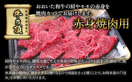 おおいた和牛 赤身焼肉300g 和牛 豊後牛 国産牛 赤身肉 焼き肉 牛肉 和牛 大分県産 九州産 津久見市 国産【tsu0018013】