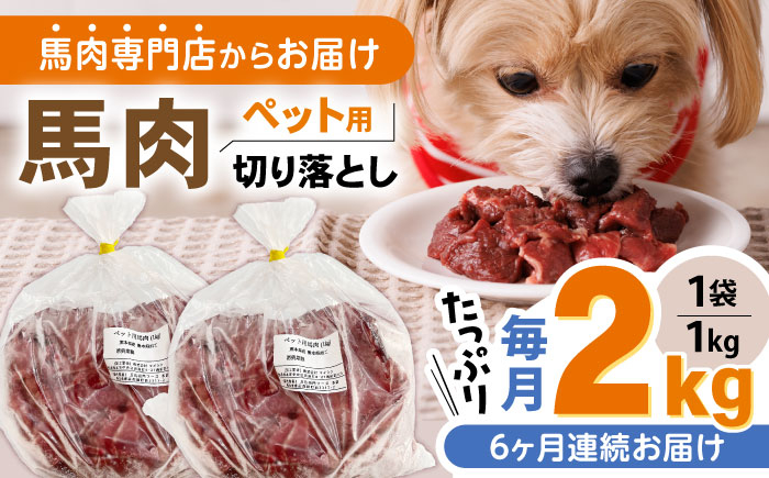 
            【全6回定期便】国内加工 ペット用 馬肉 切り落とし 合計12kg (1kg×2P) ドッグフード ペットフード 熊本【五右衛門フーズ】[YBZ013] 
          