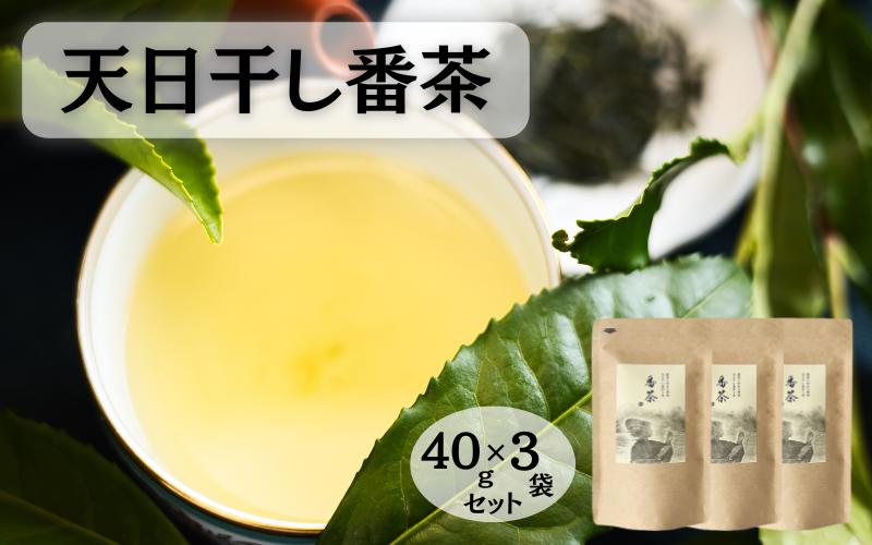 天日干し番茶40g入り×3袋セット / 和歌山 田辺市 健康 お茶 和風 煎茶 釜炒り茶 ティーバッグ 番茶