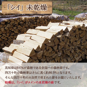 四万十の薪　未乾燥 シイ他(約18～20kg)×10箱／Bnm-09