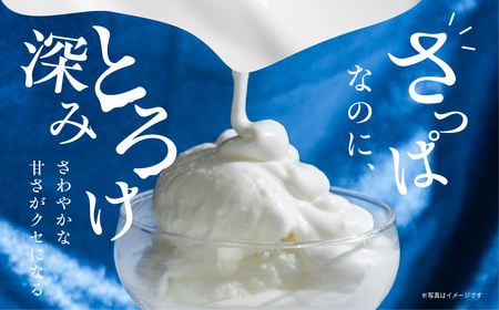 フローズンヨーグルト 30個  ヨーグルト 中央製乳