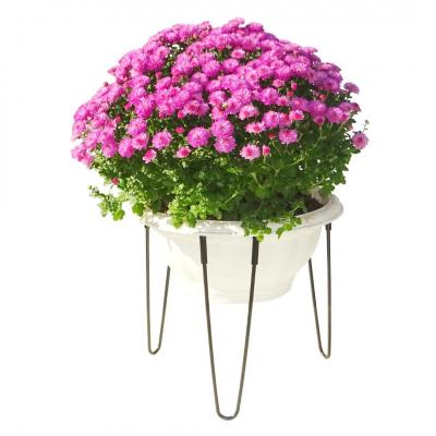 ふるさと納税 三条市 ボールプランタースタンド小2台セット 燕三条製 [株式会社オビタス] 【013S136】 |  | 03