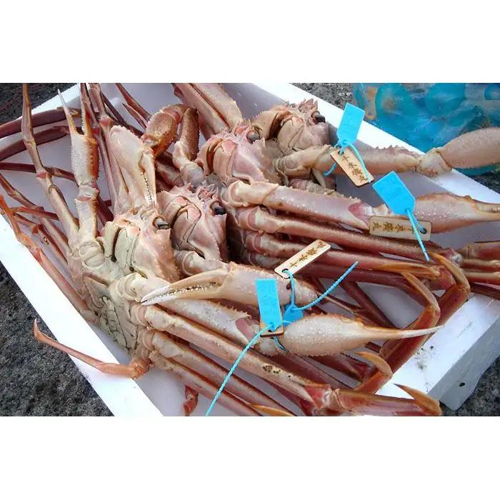 【予約受付】金沢港より直送！ボイル加能ガニ (大) ズワイガニ かに 蟹