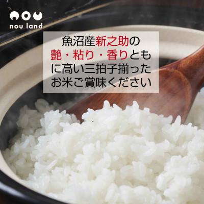 ふるさと納税 十日町市 【令和7年産 予約】 【新品種】 魚沼産 新之助 6kg   新潟県 十日町市 のうランド |  | 02