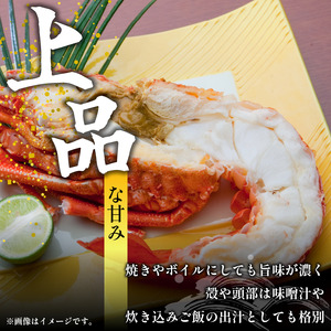 【 伊勢海老 】 伊勢海老 500g 1尾