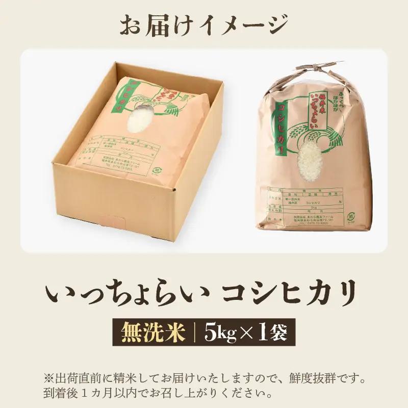 【先行予約】【令和8年産・新米】【一等米】いっちょらい 無洗米 5kg ／ 福井県産 ブランド米 コシヒカリ ご飯 白米 新鮮 大賞 受賞 ※2026年9月下旬以降順次発送予定 [aw012-a037