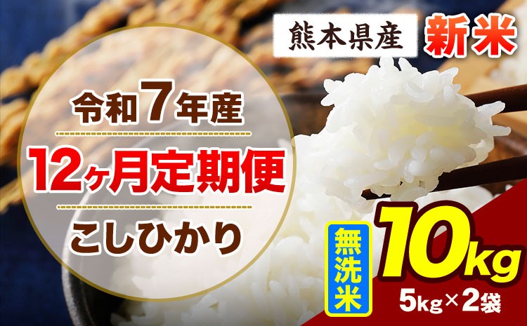 
            【12ヶ月定期便】令和7年産 定期便 こしひかり 10kg 新米 無洗米 阿蘇 うぶやま 米 定期便 熊本県産 ふるさと納税 精米 ひの 米 こめ ふるさとのうぜい コシヒカリ コメ お米 おこめ《申込み翌月から出荷》
          