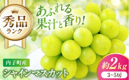
                  シャインマスカット 【先行予約】 秀品 3～5房 約2kg ＜2026年8月下旬～発送開始＞ ／ シャインマスカット しゃいんますかっと シャイン マスカット ますかっと Shine Muscat 秀品 3～5房 皮ごと 葡萄 ブドウ ぶどう 旬 新鮮 フルーツ ふるーつ fruit 果物 くだもの 果実 人気 愛媛県 愛媛県産 内子町産 国産 【株式会社フジ・アグリフーズ】 [BKAY005]
                