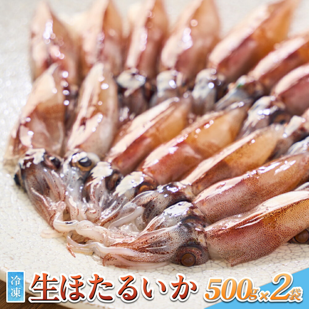 【ふるさと納税】数量限定！生ほたるいか 1kg 急速冷凍 ｜鳥取 岩美 ホタルイカ いか 日本海 山陰【24028】