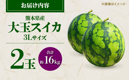 【先行予約】 大玉スイカ 3Lサイズ　2玉入り 約16kg すいか 大玉 熊本 フルーツ 野菜 果物 【日本フルーツ株式会社】[ZFJ046]