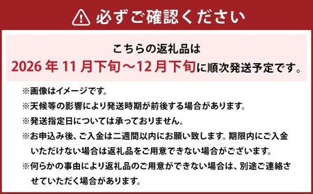 あたご梨 2～3玉・鴨梨（ヤーリー） 3～7玉 詰合せ 合計約4kg 化粧箱 梨 ナシ なし 愛宕梨 あたごなし ジャンボ梨 【2026年11月下旬～12月下旬発送予定】