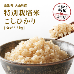 MR-12  減農薬・減化学肥料　特別栽培米こしひかり　3kg（玄米）