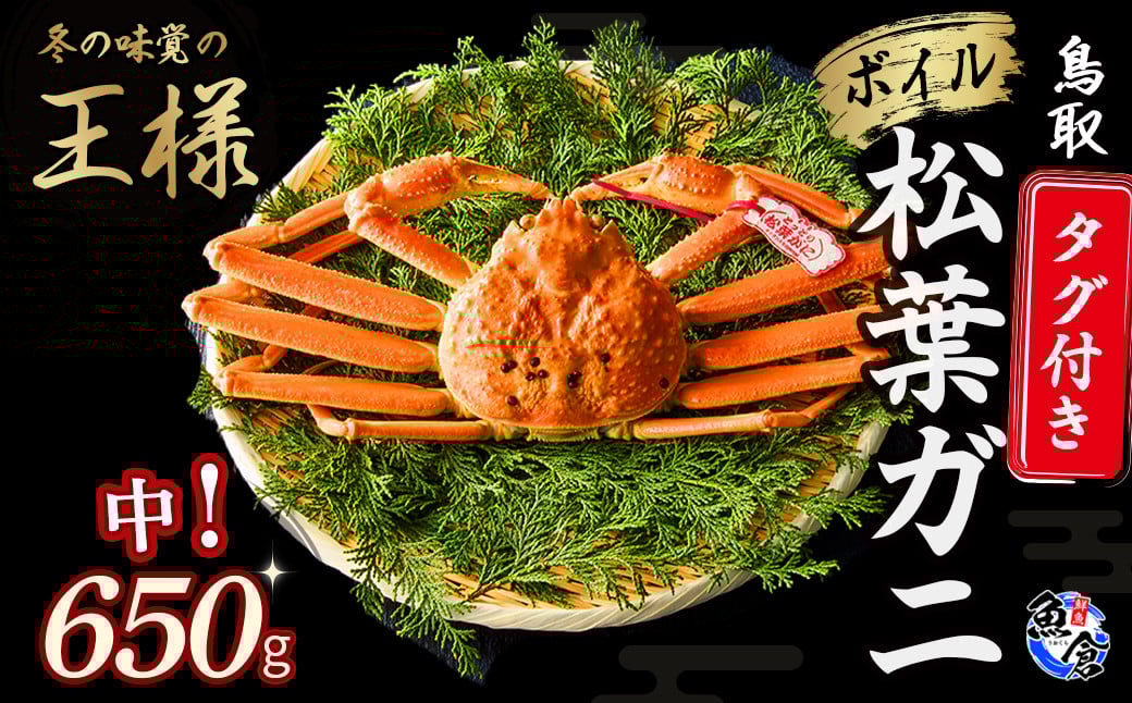 
            【魚倉】タグ付きボイル松葉ガニ（中650g）冷蔵 カニ ボイル 松葉ガニ タグ付き 新鮮 カニ爪 ズワイガニ ずわいがに おすすめ 国産 鮮度抜群 限定価格 限定寄付額 鳥取県 倉吉市
          
