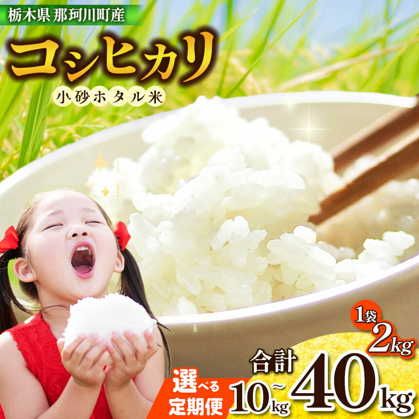 【ふるさと納税】小砂 [こいさご] ホタル米5kg~30kg 選べる回数 ｜米 白米 おいしい お米 こめ おこめ 白米 精米 国産 ごはん ご飯 白飯 米 おこめ 白米 精米ゴハン ランキング 人気 ふるさと 納税 栃木県 那珂川町 送料無料