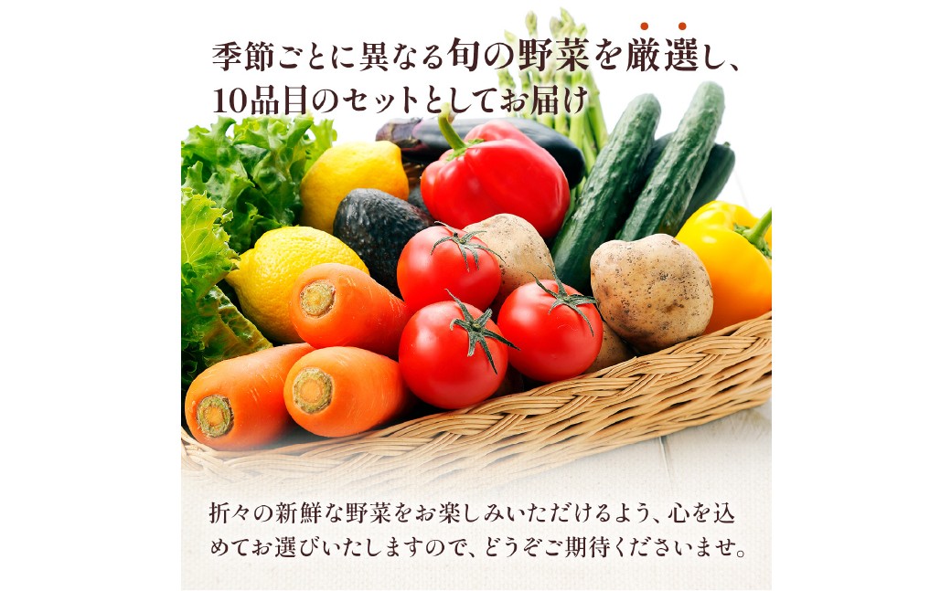 熊本県 10品目 野菜 セット