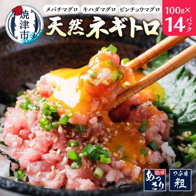 ふるさと納税 焼津市 ネギトロ 100g×14パック 合計1.4Kg(a10-1135)