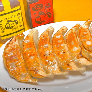 宇都宮餃子 はちまん餃子 青 野菜餃子 32個（16個入り×2パック/1個 22g） ｜ 宇都宮餃子 国産野菜 グルメ 宇都宮市 野菜 餃子 ぎょうざ ギョーザ 野菜 冷凍食品 冷凍餃子 焼き餃子 水
