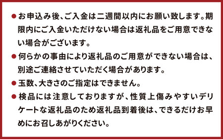 農家の休憩デコ 訳あり（C品 7kg） 果物 くだもの フルーツ 柑橘【2025年2月下旬～6月下旬発送】