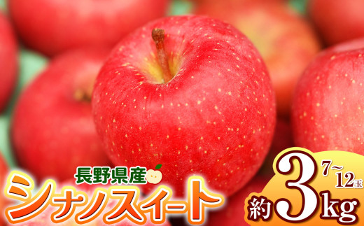 【2026年先行予約】シナノスイート 約3kg ｜ 浅野農園 リンゴ りんご 林檎 果物 くだもの フルーツ 果実 果汁シナノスイート 長野県 松川村 信州