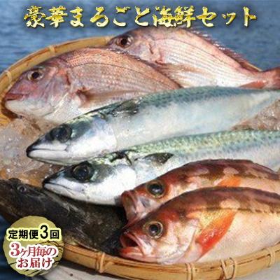 ふるさと納税 深浦町 【定期便3回】豪華まるごと海鮮セット[No.5296-0118]