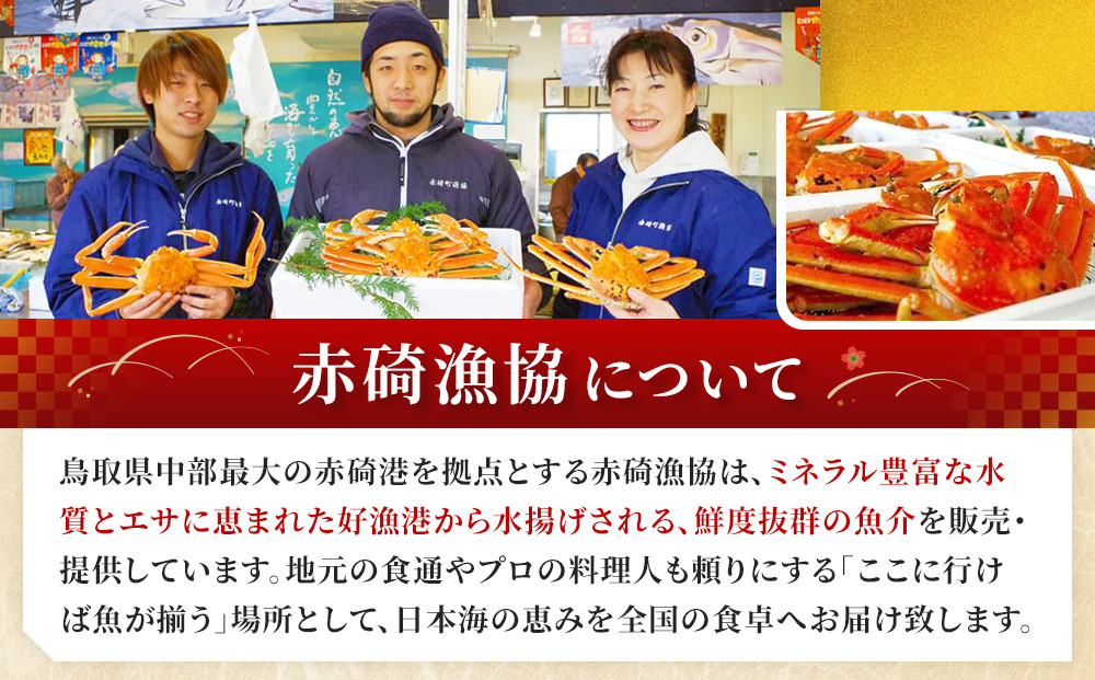 （訳あり）松葉ガニ（ボイル）2枚【年内配送】※着日指定不可※北海道、沖縄、一部離島への配送不可《ずわいがに　かに　カニ　蟹》