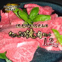 【ふるさと納税】【黒毛和牛】石見和牛たっぷり焼肉セット1.2kg